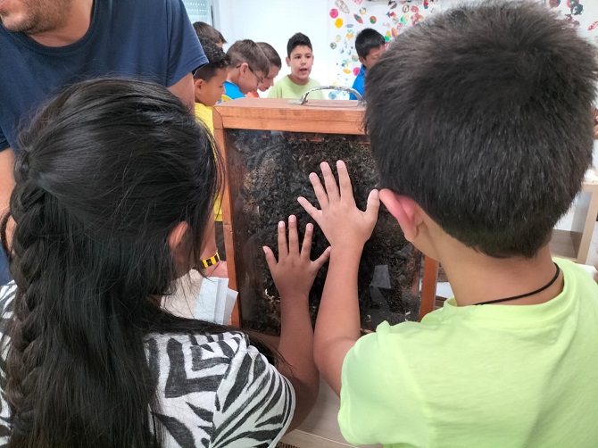 Taller apiturismo